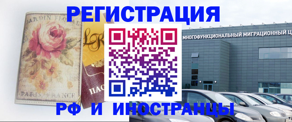 прописка законно в Коле